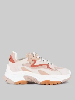 Hot ASH MAXI SNEAKER ADDICT IN PELLE E TELA E MARRONE ARAGON Nude