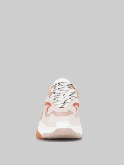 Hot ASH MAXI SNEAKER ADDICT IN PELLE E TELA E MARRONE ARAGON Nude