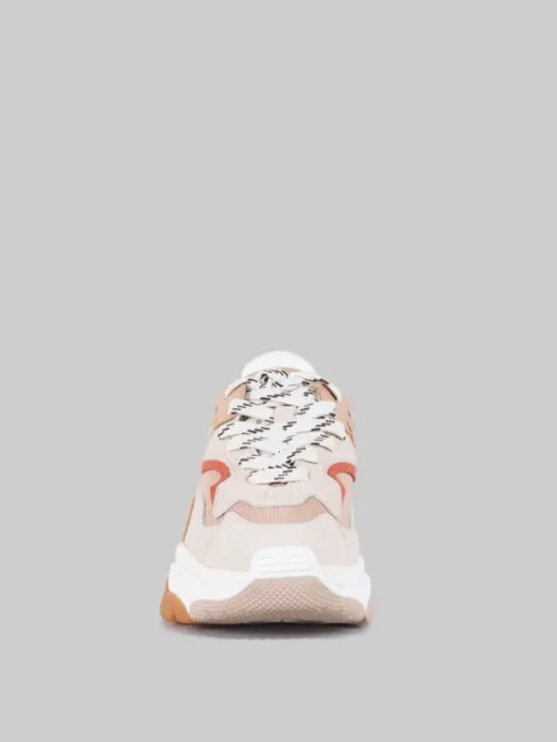 Hot ASH MAXI SNEAKER ADDICT IN PELLE E TELA E MARRONE ARAGON Nude