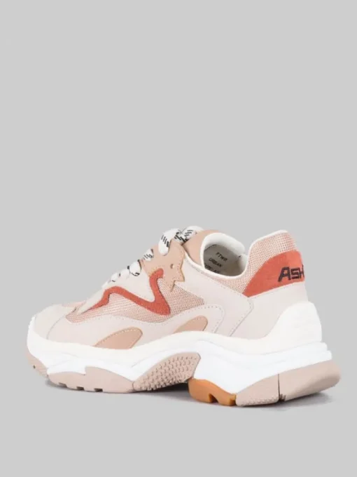 Hot ASH MAXI SNEAKER ADDICT IN PELLE E TELA E MARRONE ARAGON Nude