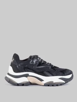 New ASH Sneaker addict