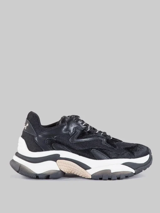 New ASH Sneaker addict