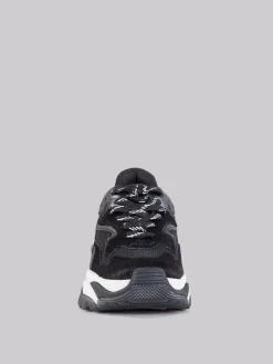 New ASH Sneaker addict