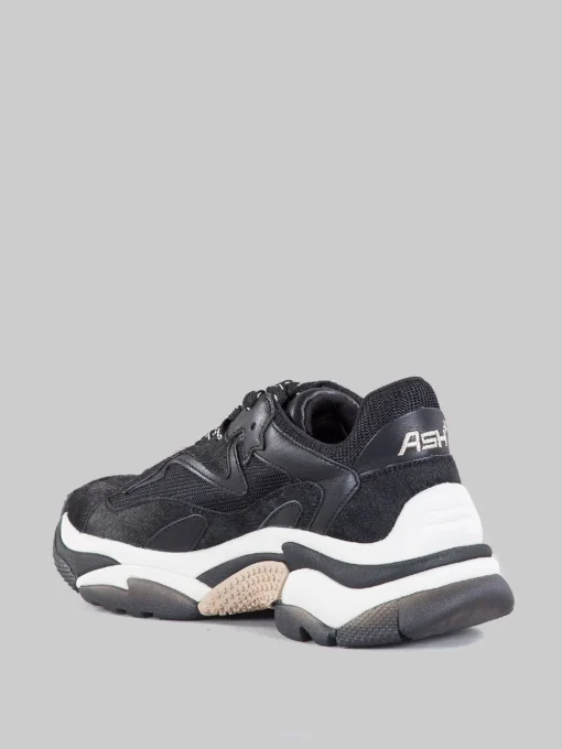 New ASH Sneaker addict