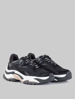 New ASH Sneaker addict