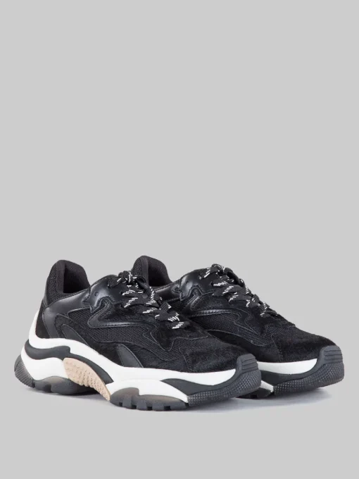 New ASH Sneaker addict