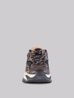 Hot ASH Sneaker addict