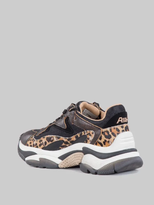 Hot ASH Sneaker addict