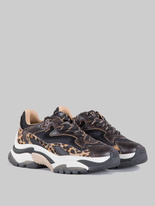 Hot ASH Sneaker addict