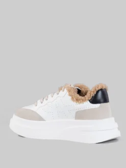 Outlet ASH Sneaker impuls fur